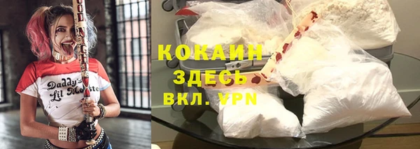 дурь Верея