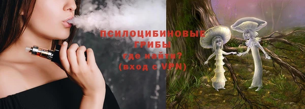 дурь Верея