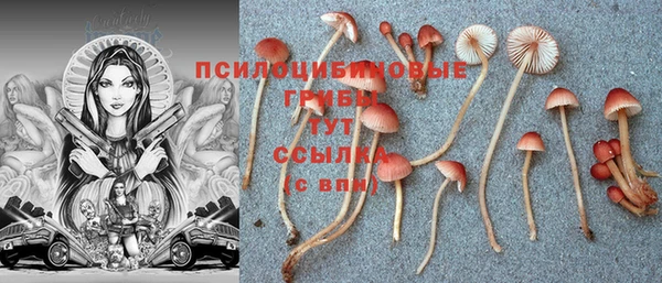 винт Верхний Тагил