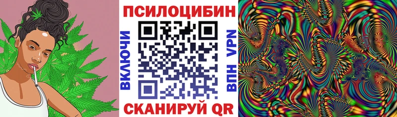 Псилоцибиновые грибы GOLDEN TEACHER  Купить где  Томари 